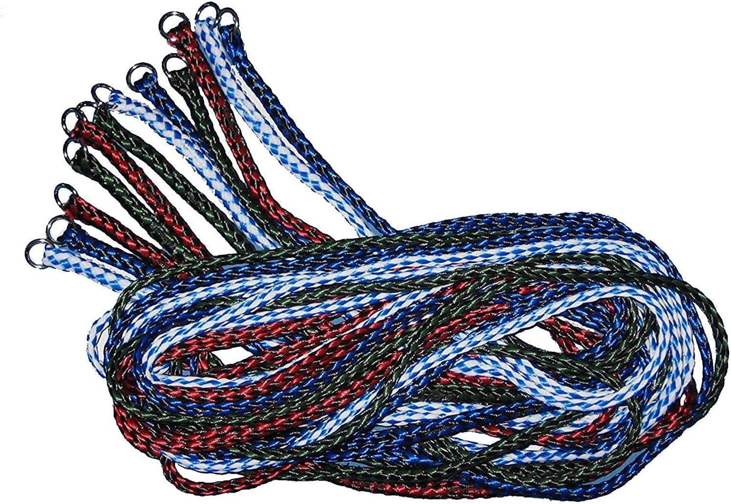 leashes and leads vet