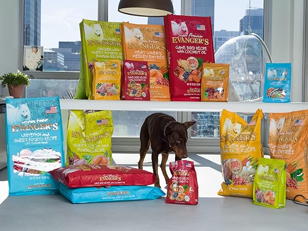 EVANGER’S SUPER GAMEBIRD RECIPE WITH COCONUT OIL DRY DOG FOOD – 4.4 LB BAG – HYPOALLERGENIC DUCK & TURKEY FORMULA – GRAIN-FREE, SUPPORTS DIGESTIVE & COAT HEALTH