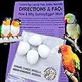 Plastic Small Parrot Dummy Eggs Stop Brooding Laying! 4 Solid Dummy Fake Non-Toxic White Realistic Eggs for Conure (not Green Cheek), Caique, Indian Ringneck DE Brand USA