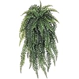 Weeping Boston Fern Hanging Bush, 52-Inch, Light Green