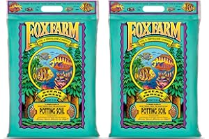 FoxFarm Ocean Forest Potting Soil, 12qt – Light, Aerated Texture, Designed for All Container Plants – pH Adjusted for Optimal Nutrient Uptake, Effectively Retains Moisture (12 Quart (2 Pack))