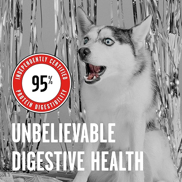 BIXBI LIBERTY FREEZE-DRIED DOG FOOD TOPPER & TREATS, BEEF – 98% MEAT & ORGANS, NO REFRIGERATION – USA MADE, 12 OZ