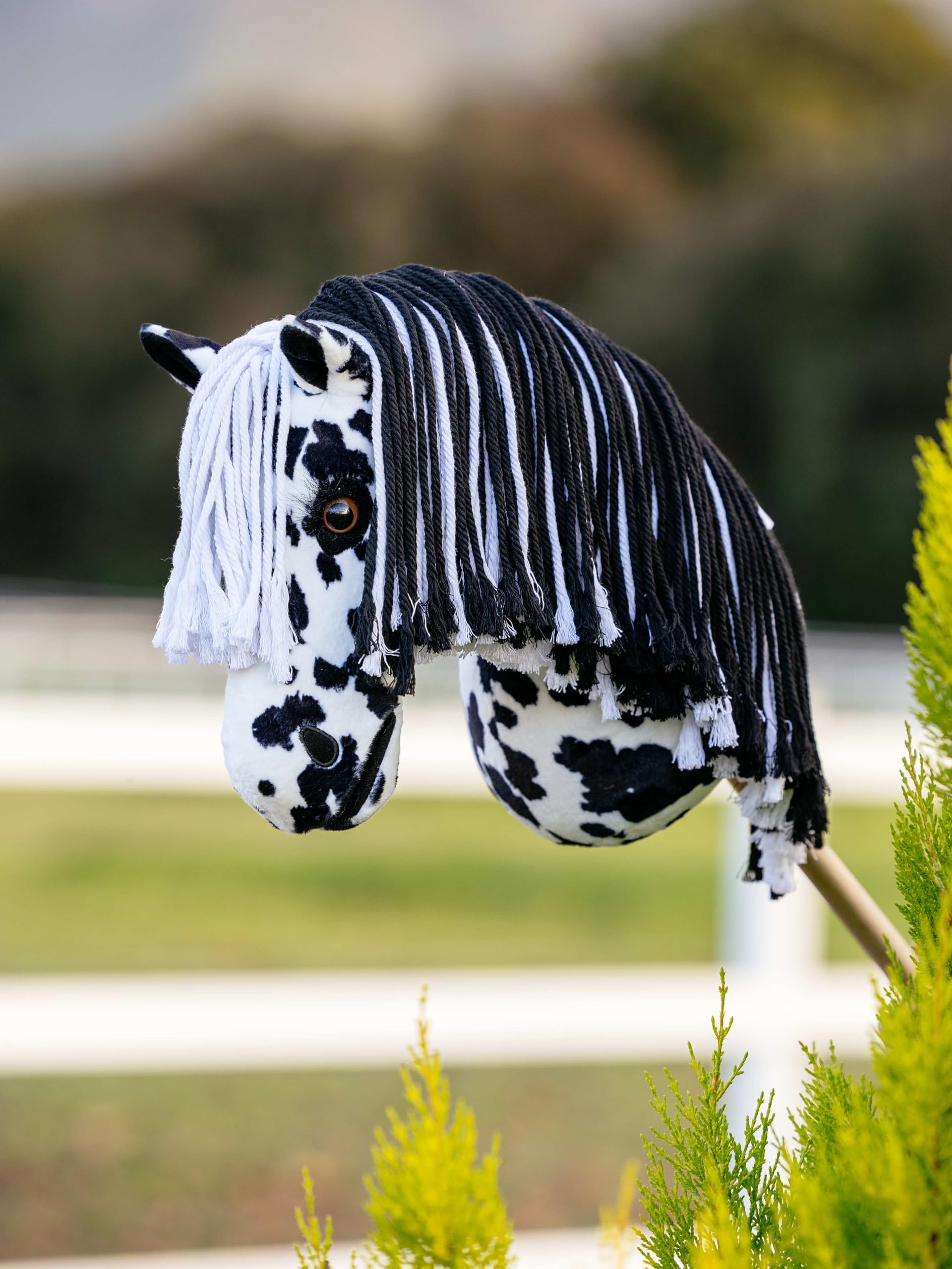 LeMieux Hobby Horse Dakota - Black and White Appaloosa - Realistic Head - Perfect for Kids
