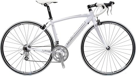 raleigh capri road bike