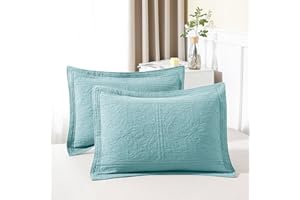 WINLIFE 100% Cotton Quilted Pillow Sham Floral Printed Pillow Cover (Standard, Aqua Blue)
