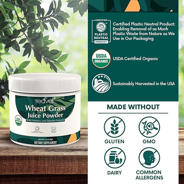 TEAVELI ORGANIC WHEATGRASS JUICE POWDER WITH PROBIOTICS – UTAH GROWN RAW WHEAT GRASS POWDER & GREEN JUICE POWDER – BIOACTIVE DEHYDRATION FOR FLAVOR & NUTRIENT RETENTION – 7 OZ (199G)