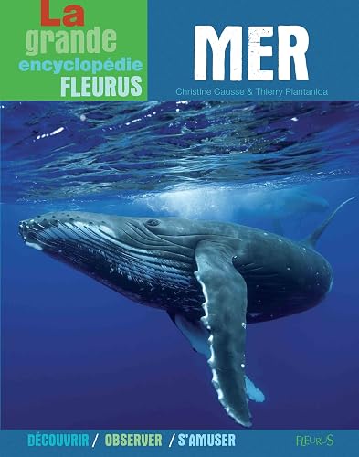 Download Mer PDF