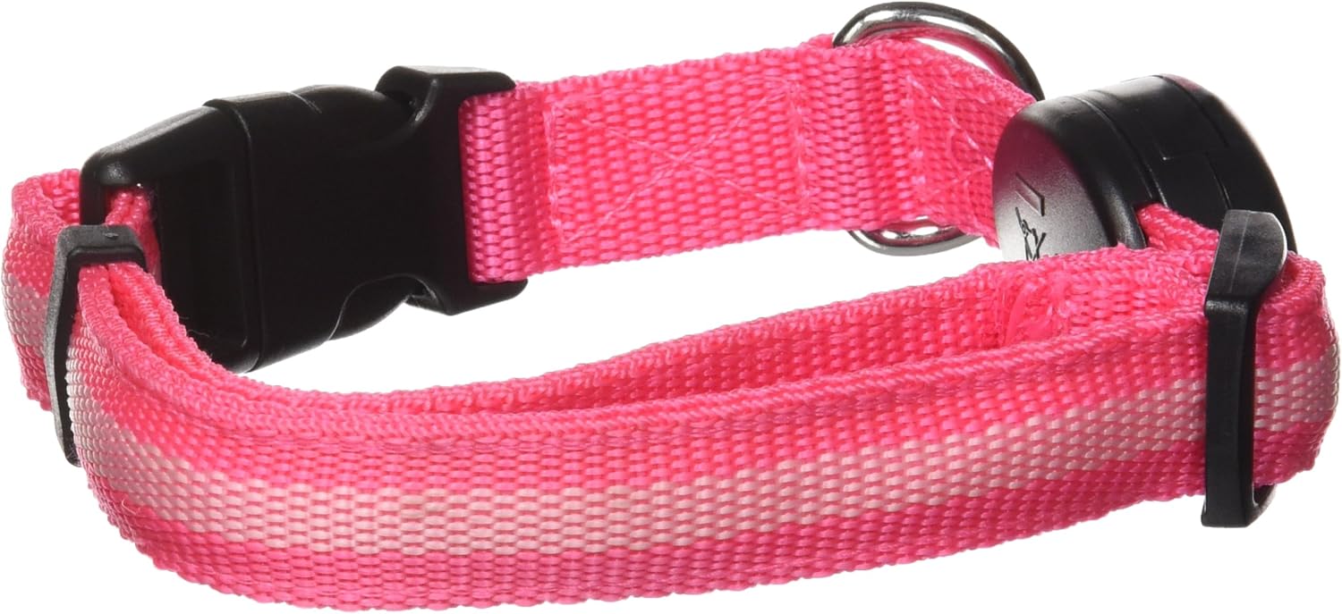 elive dog collar