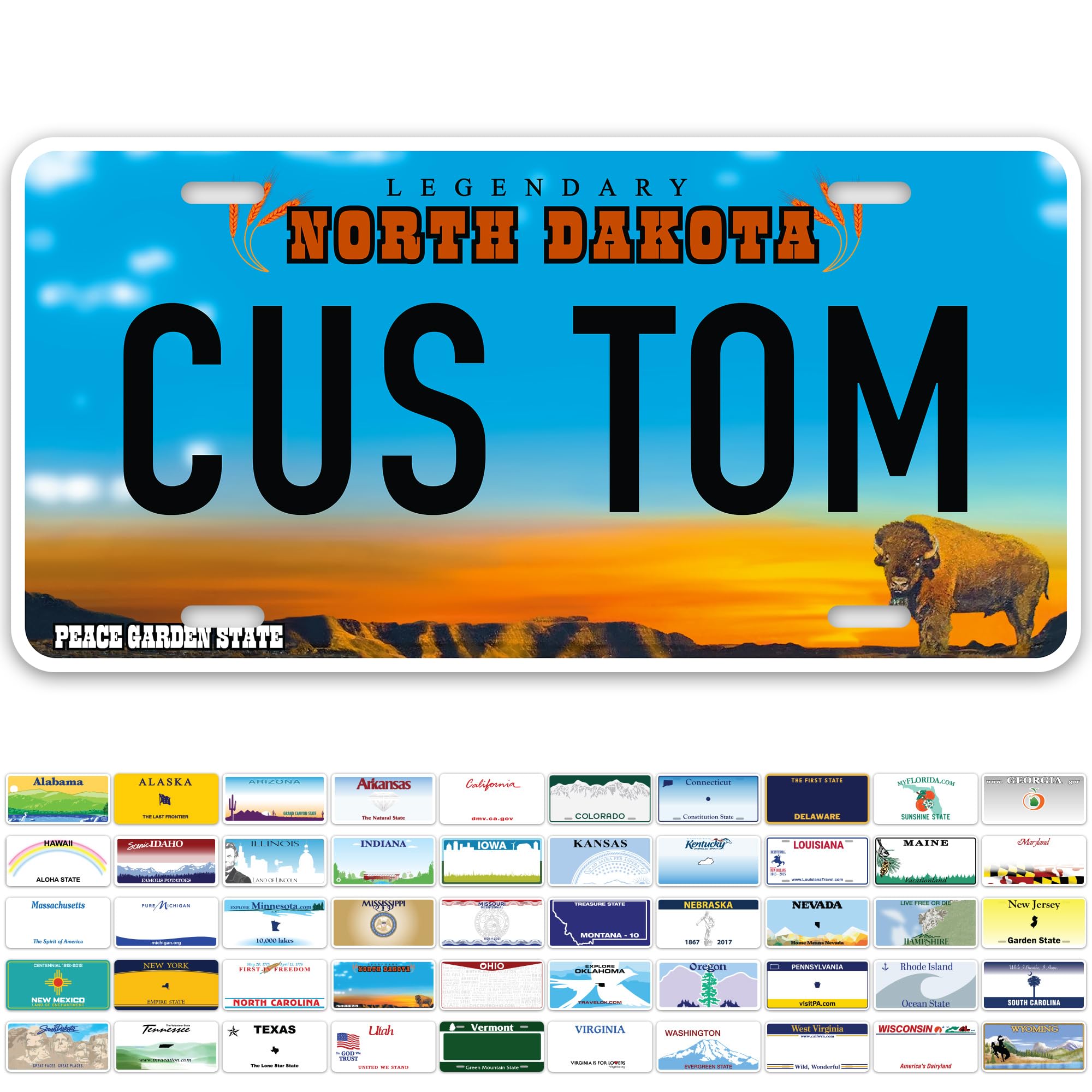 Custom North Dakota License Plate, Personalized