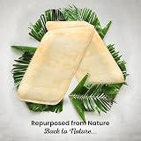 Eco Leaf 25 Disposable Palm Leaf Plates 10in Large Square Oven Safe Eco view 5
