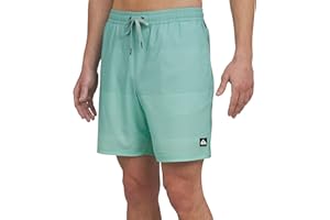 Quiksilver Men's Swimwear Regular Fit Stretchable Comfort Liner Swim Trunks (S-XXL)