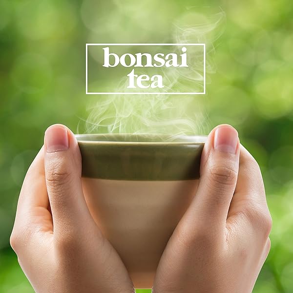 BONSAI TEA CO. VARIETY PACK, COMPATIBLE WITH K CUP BREWERS INCLUDING 2.0, 40 COUNT