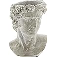 Lucky Winner Greek Statue Head Cement Planter - Unique Sculpture Plant Pot for Indoor Outdoor Home Garden Decor (9")