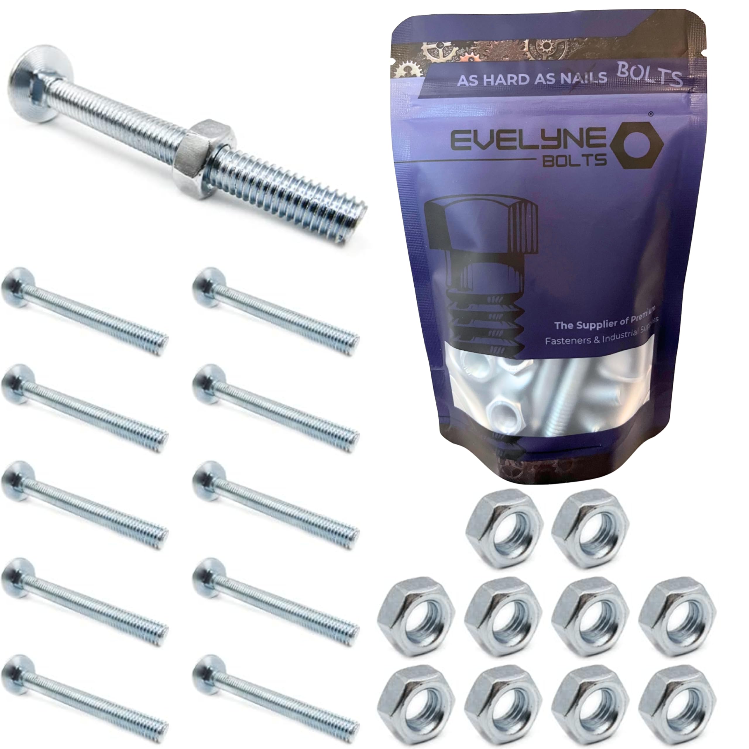 M8 (8mm x 40mm) Cup Square Carriage/Coach Bolt & Nut Set - Steel (Pack of 10)