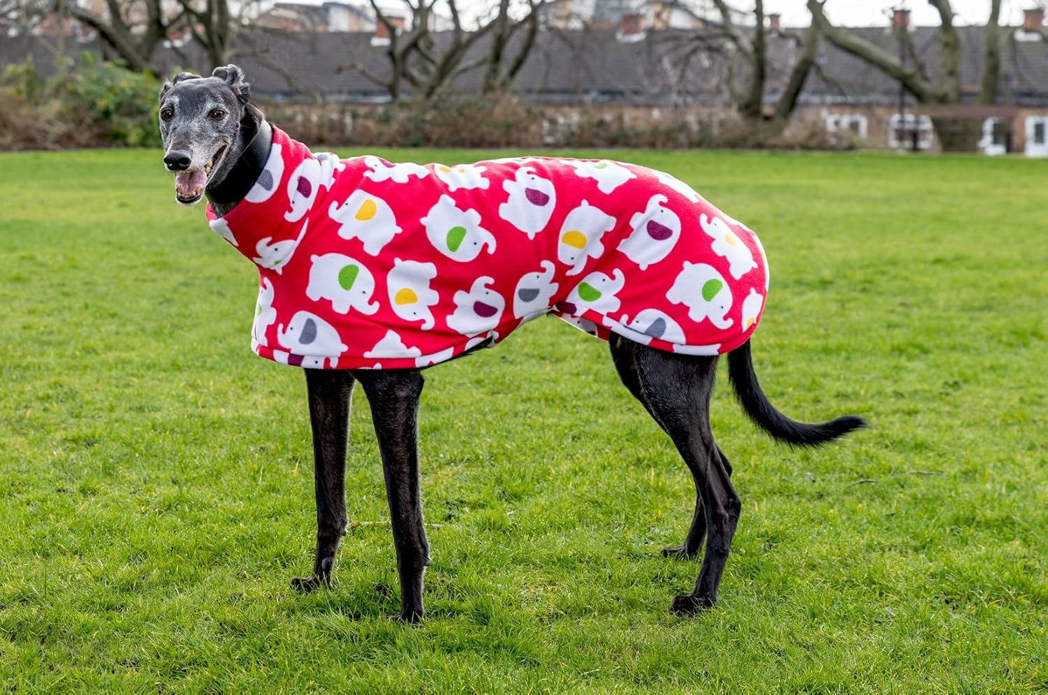 Dog and home greyhound coats Clearance