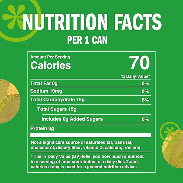 IZZE SPARKLING JUICE, APPLE, NO ADDED SUGARS, NO PRESERVATIVES, NON-GMO, 8.4 FL OZ CAN (PACK OF 24)