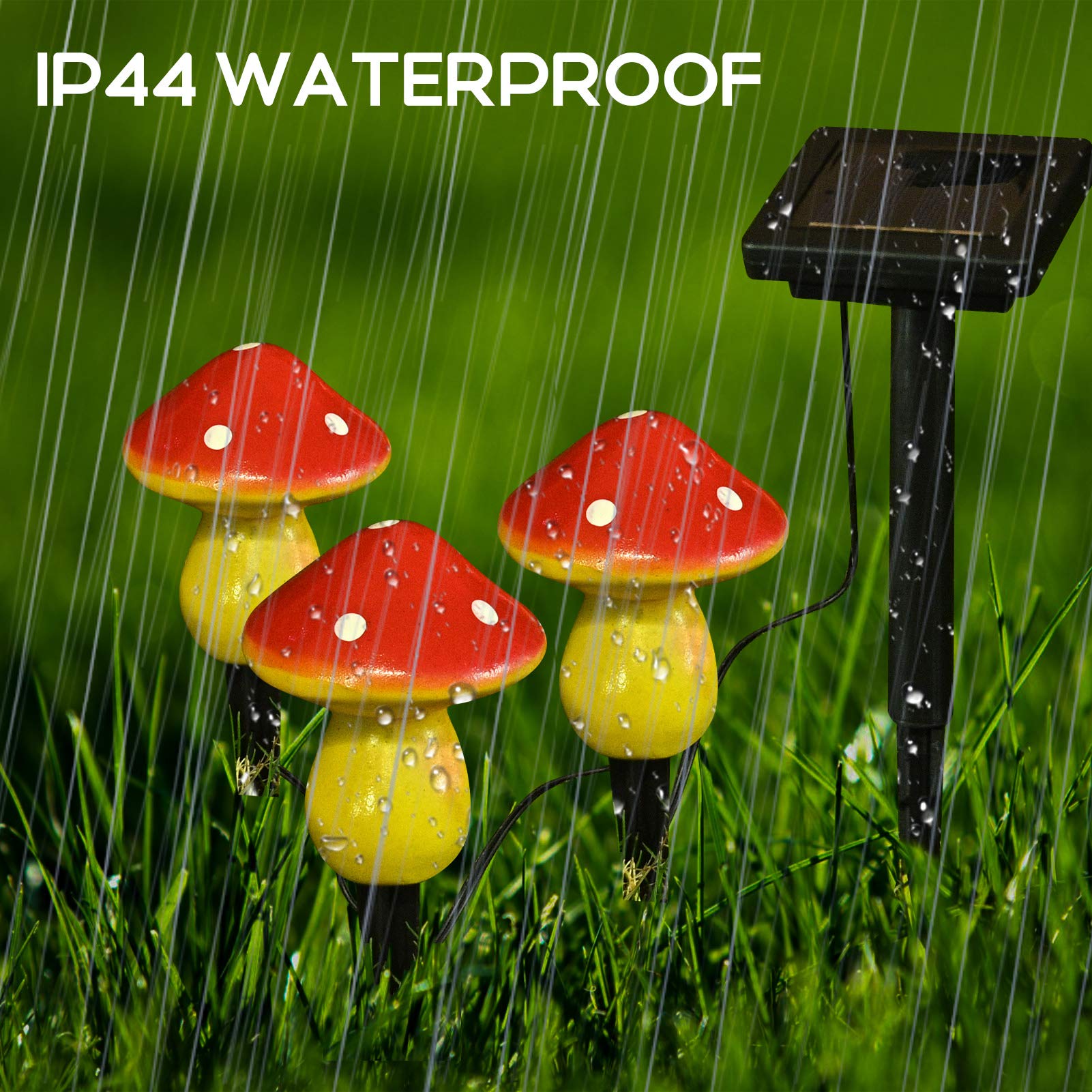 https://images-na.ssl-images-amazon.com/images/I/81NxAt0FoKL.jpg