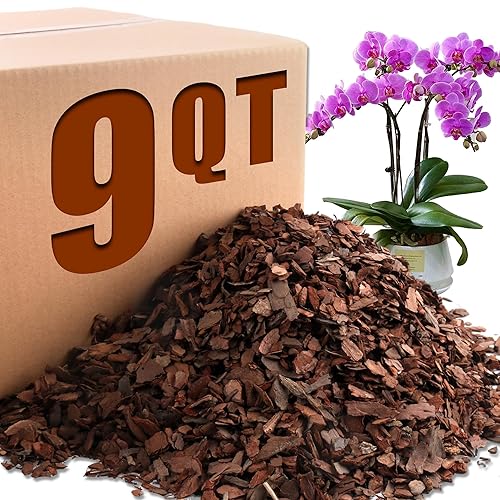 AVALUTION Orchid Potting Bark-9QT Organic Orchid Bark for Plants, All  Natural Pine Bark Wood Chips Orchid Bark Potting Mix for Houseplant Mulch,  Help Orchid Plants Root Health Development in Saudi Arabia |