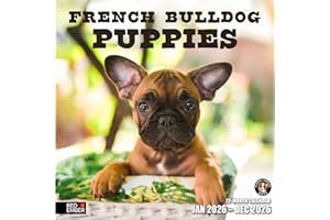 RED EMBER French Bulldog Puppies 2026 Wall Calendar 12 Month | 12" x 24" Open | Thick & Sturdy Paper | Holiday Gift | Cute Frenchie Puppy Dog Calendar 2026