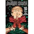 Jujutsu Kaisen, Vol. 30 (Volume 30) - View 6