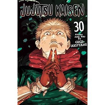 Jujutsu Kaisen, Vol. 30 (Volume 30) - View 8