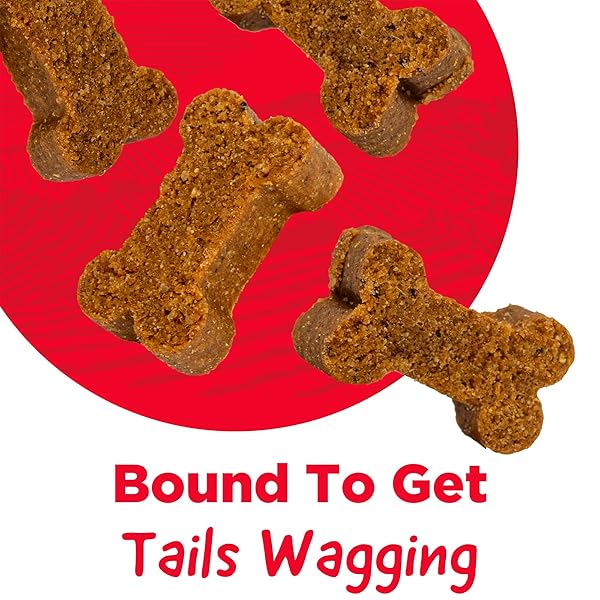 COUNTRY KITCHEN BEEF SOFT CHEW DOG TREATS, GREAT TASTING, MADE WITH REAL BEEF, RICH IN DHA & OMEGA 3, 16 OZ