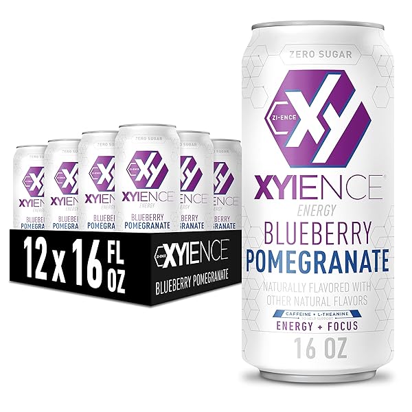 XYIENCE BLUEBERRY POMEGRANATE ENERGY DRINK, 16 FL OZ CAN (PACK OF 12)
