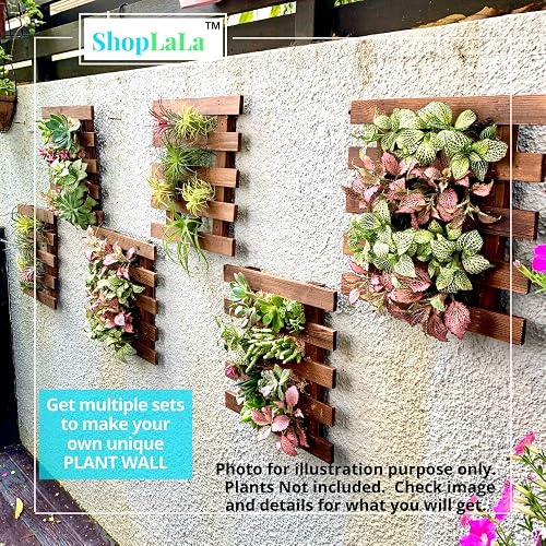 best soil for fiddle leaf fig home depot Fiddle Leaf Fig Soil by Perfect Plants