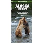 Alaska Wildlife: A Folding Pocket Guide to Familiar Animals (Nature Observation North America)