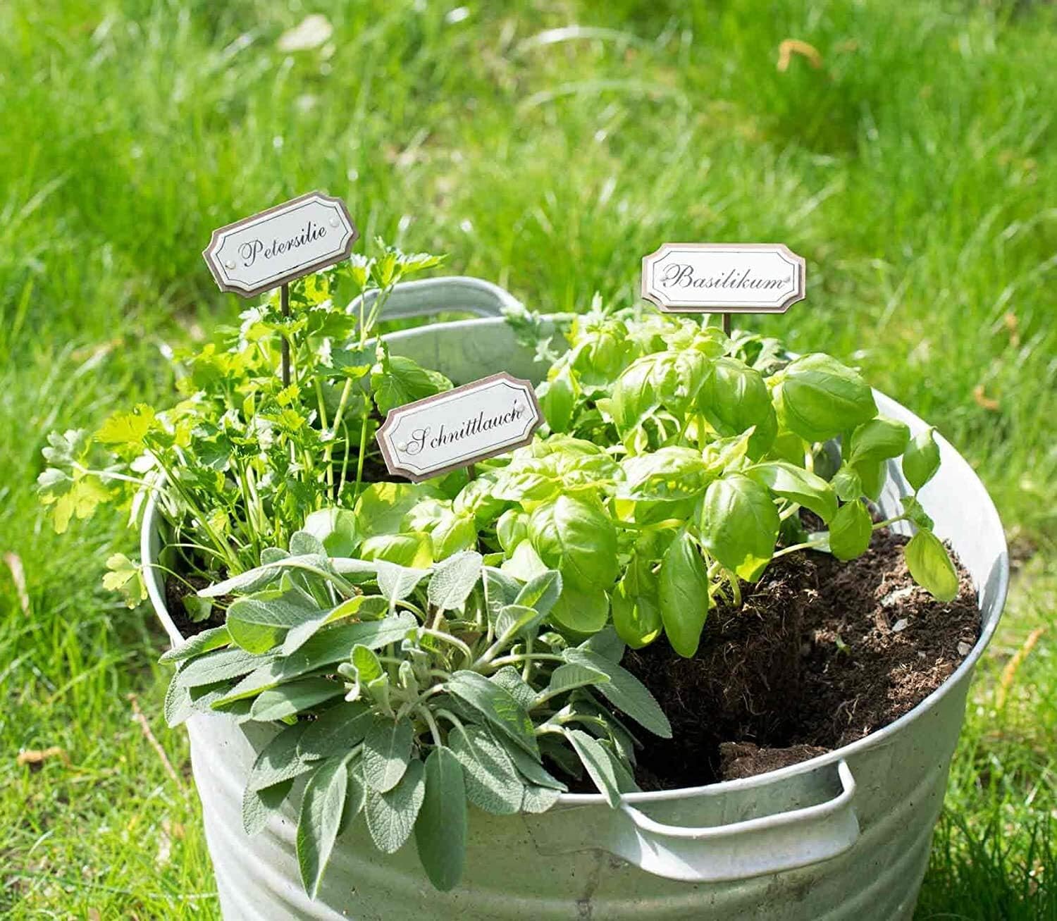 10 letreros de metal para las hierbas aromáticas / el jardín ...