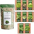 Lettuce & Salad Greens Seed Vault - 1200+ Non-GMO Vegetable Seeds for Outdoors or Indoors - Romaine, Iceberg Lettuce Seeds fo