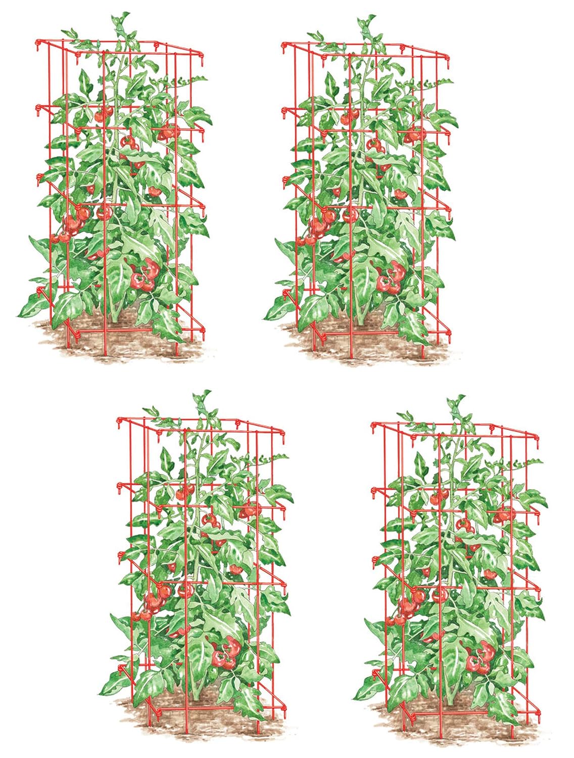 Lifetime Tomate Jaulas, Heavy Gauge, juego de 4: Amazon.es: Jardín