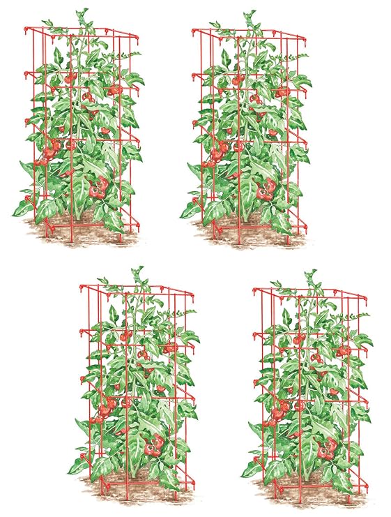 Lifetime Tomate Jaulas, Heavy Gauge, juego de 4: Amazon.es: Jardín