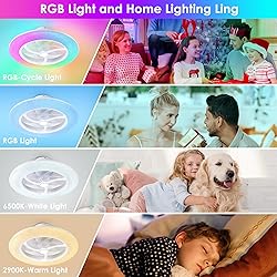 KAMLAM Low Profile Ceiling Fans with