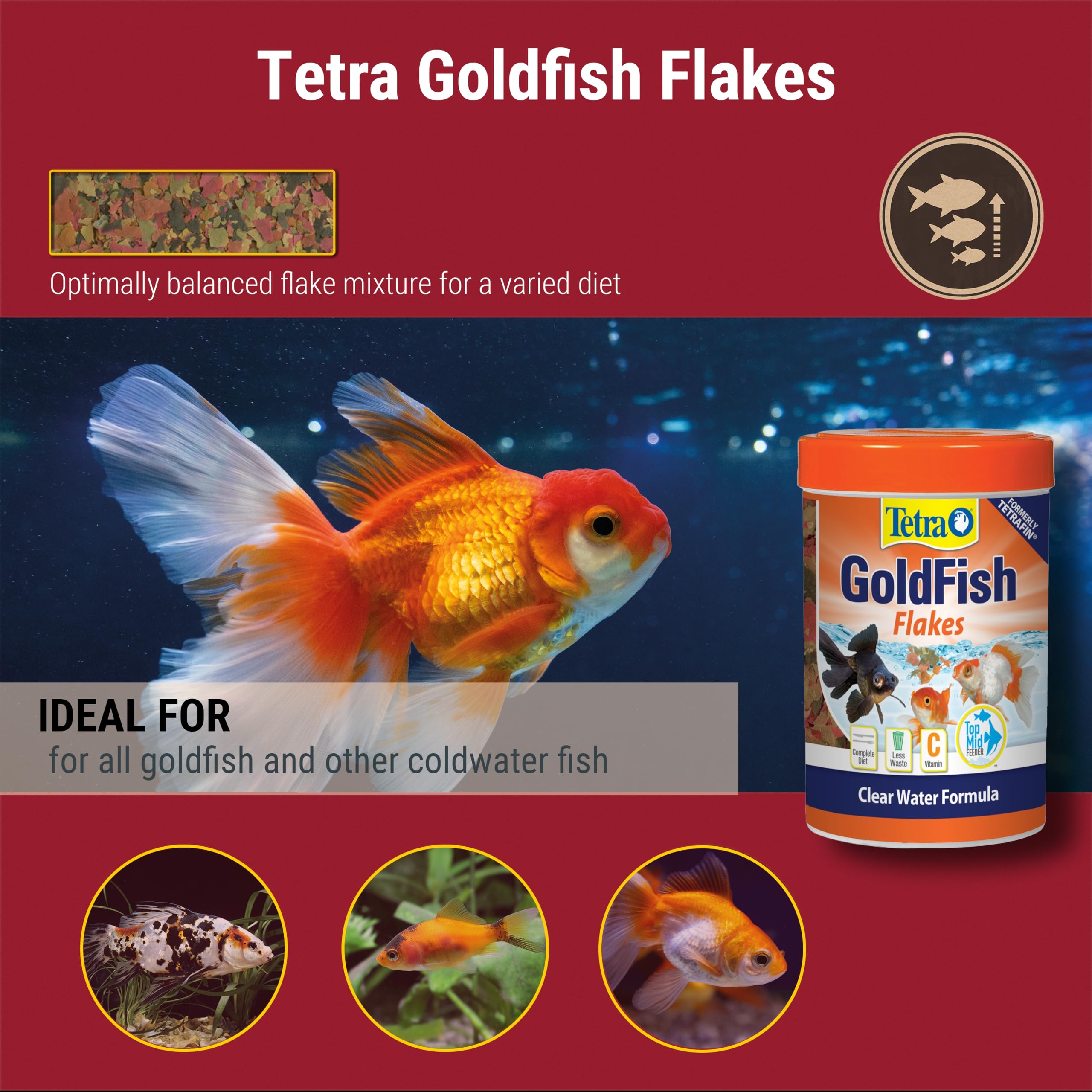 View of Mua Tetra Goldfish Flakes, Nutritionally Balanced Diet For Aquarium ...