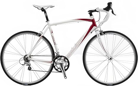 raleigh 300 road bike