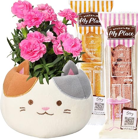 Amazon Co Jp Amazon限定ブランド 花のギフト社 母の日 カーネーション 三毛猫 鉢植え お菓子 食品 飲料 お酒