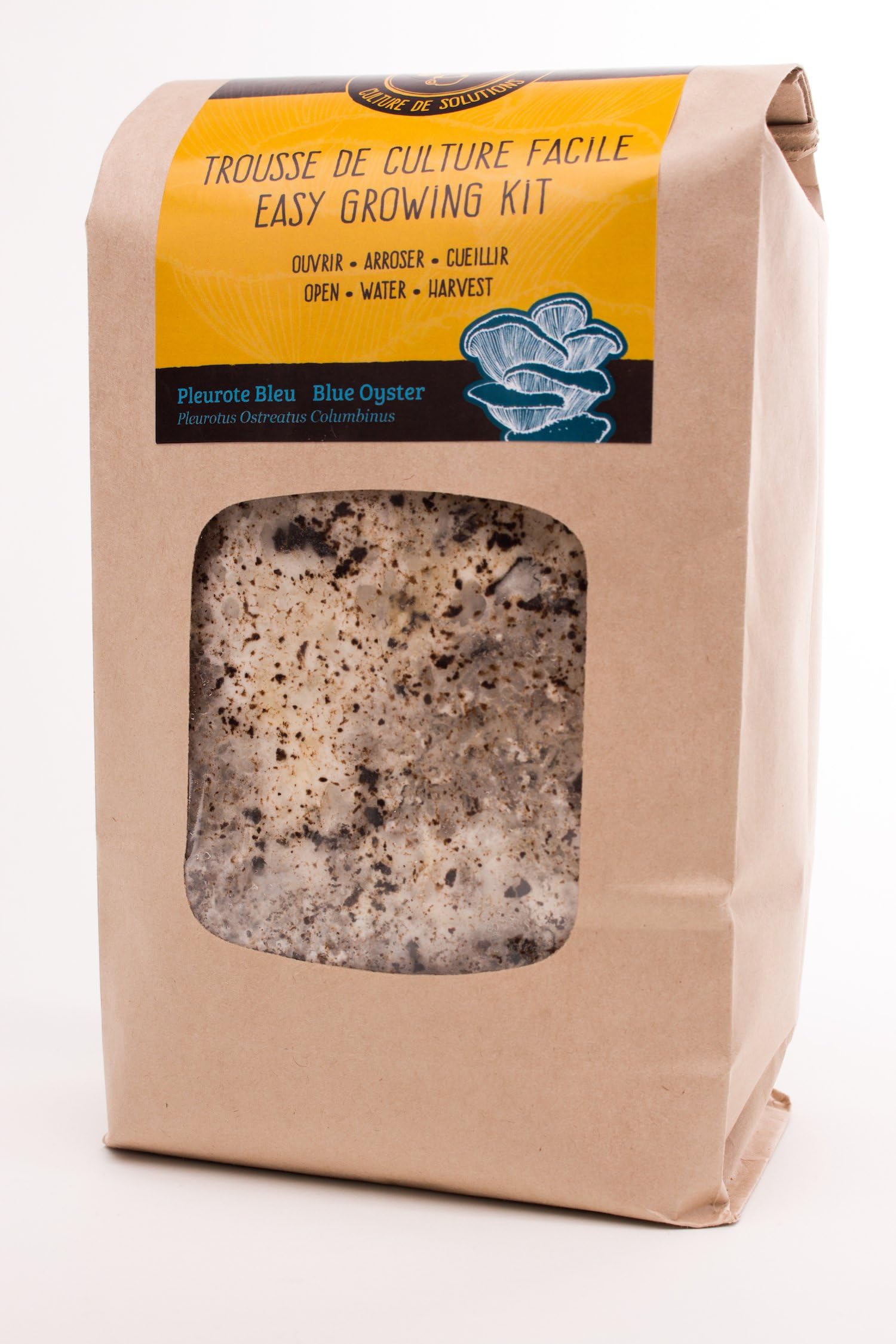 Blue Oyster - Pleurotus Ostraetus Columbinus - Home Growing Kit Mycelium