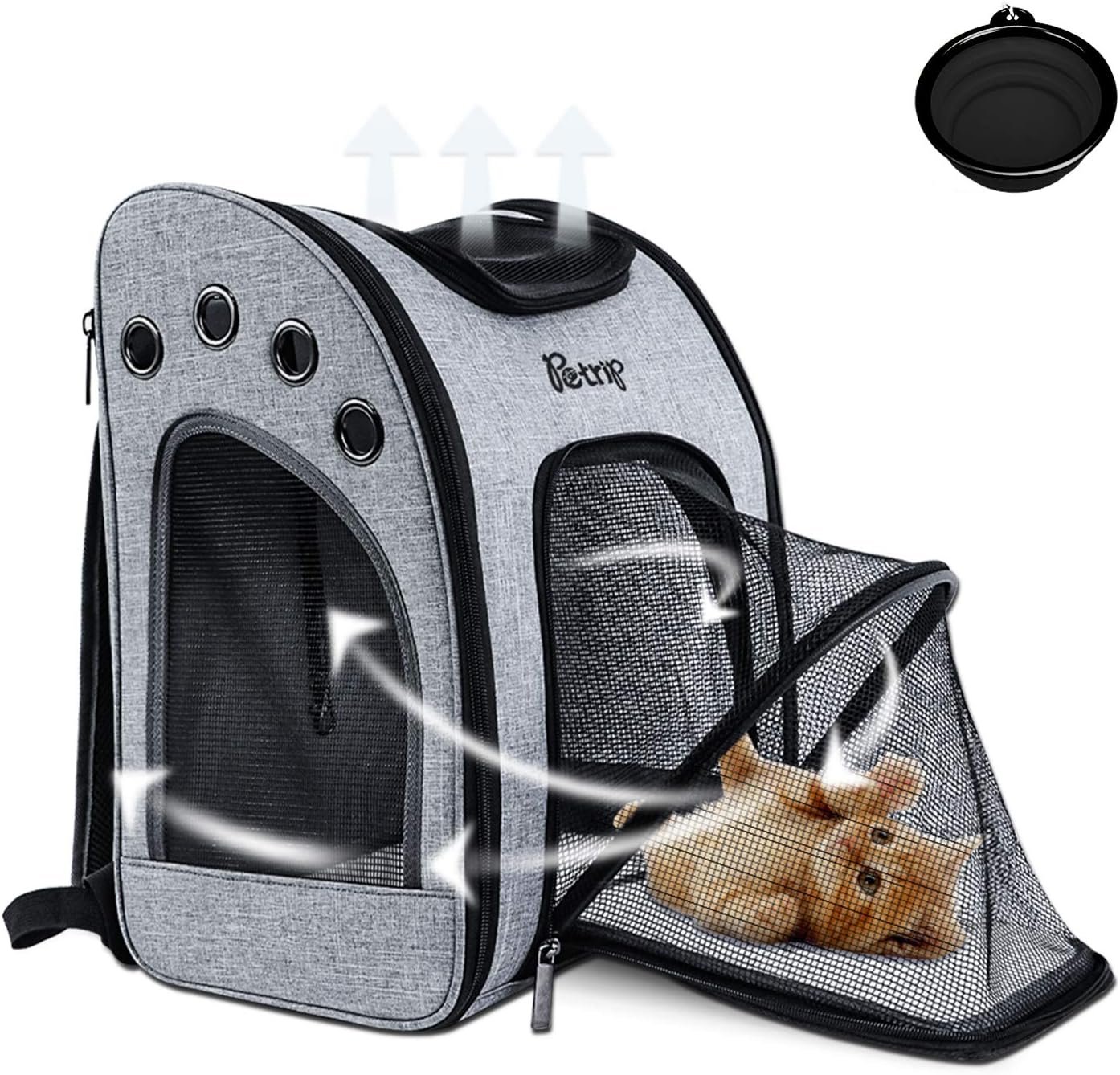 kitten carrier backpack