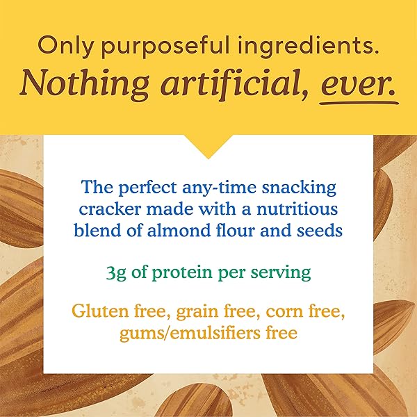 SIMPLE MILLS ALMOND FLOUR CRACKERS, FINE GROUND SEA SALT SNACK PACKS – GLUTEN FREE, VEGAN, HEALTHY SNACKS, 4.9 OUNCE (PACK OF 1)