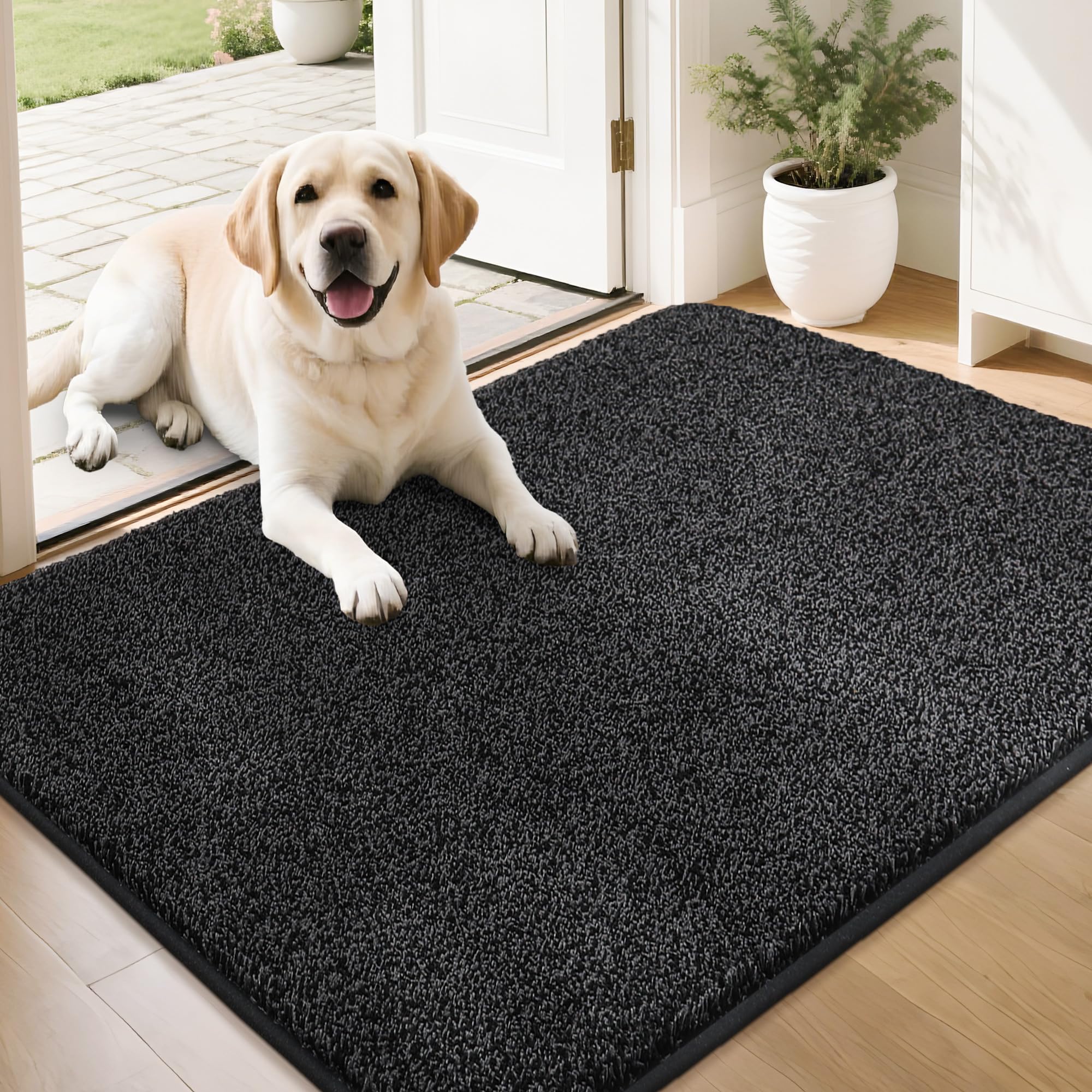 COSY HOMEER Nonslip Door Mats Indoor, 60 x 90cm Washable Dirt Trapper Welcome Front Doormat for Entryway Room Hallway, Absorbent Indoor Floor Mat for Muddy Shoes & Pets and Dogs, Black