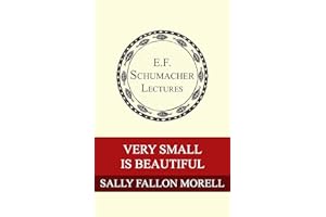 Very Small is Beautiful (Annual E. F. Schumacher Lectures Book 28)