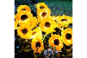 NOWPIS Solar Flowers Outdoor Waterproof, 2 Pack 6 Sunflower Solar Lights Outdoor, Waterproof Solar Sunflower Garden Lights, Decorative Sunflower Solar Pathway Lights for Garden Lawn Patio Yard