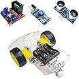 DIYables 2WD RC Robot Car Kit for Arduino, ESP32, ESP8266, Raspberry Pi, Including L298N Motor Driver and Sensors
