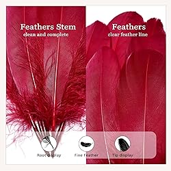 FeelfunFeather 120pcs Wine Red Goose Feathers 6-8