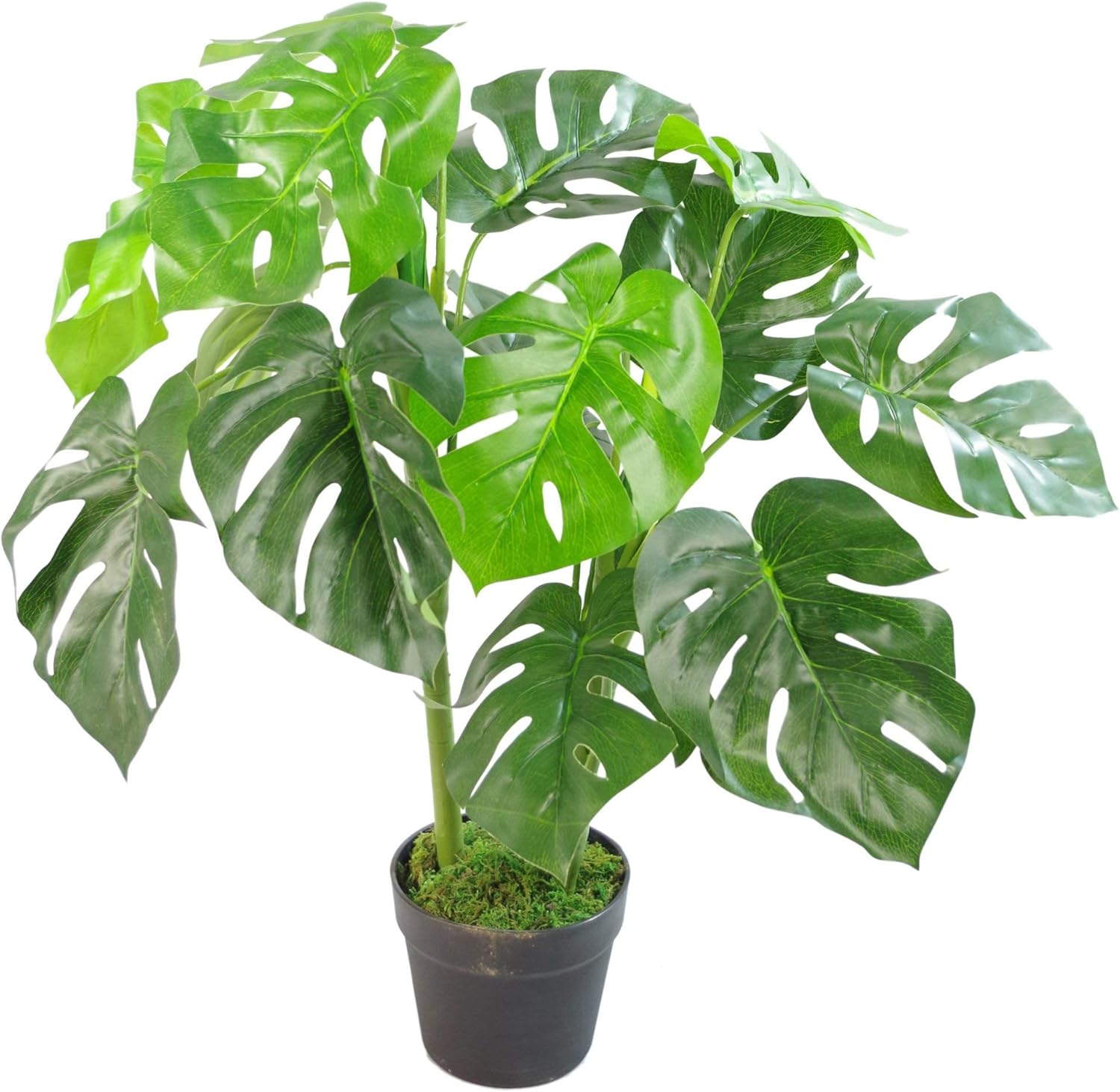 Leaf LEAF-7151 Artificial Monstera Plant 80cm Black Pot