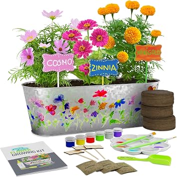 Kit de Cultivo de Flores Pinta y Planta - Cultiva Cosmos, Zinnia ...