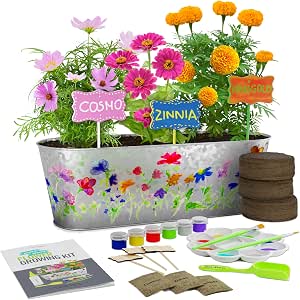 Kit de Cultivo de Flores Pinta y Planta - Cultiva Cosmos, Zinnia ...