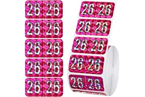 SINBANA 500 2026 Year Labels, 3/4 x 1-1/2 inch File Folder Stickers Color Coded Medical Chart Number Labels for Office Supplies (Holographic Rose Red)