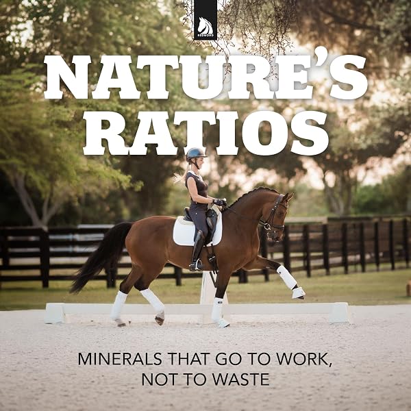 DAILY RED CRUSHED LOOSE MINERALS | MINERAL SALT + ELECTROLYTE SUPPLEMENT FOR HORSES
